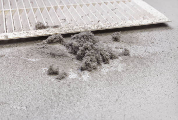 Best Emergency Air Duct Cleaning  in Bokeelia, FL
