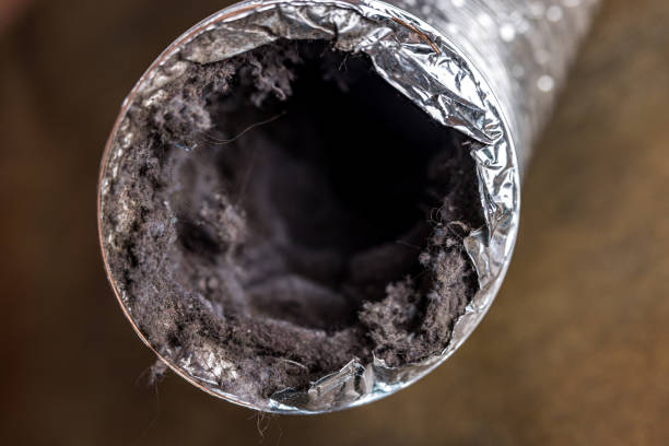 Best Air Duct Cleaning Near Me  in Bokeelia, FL